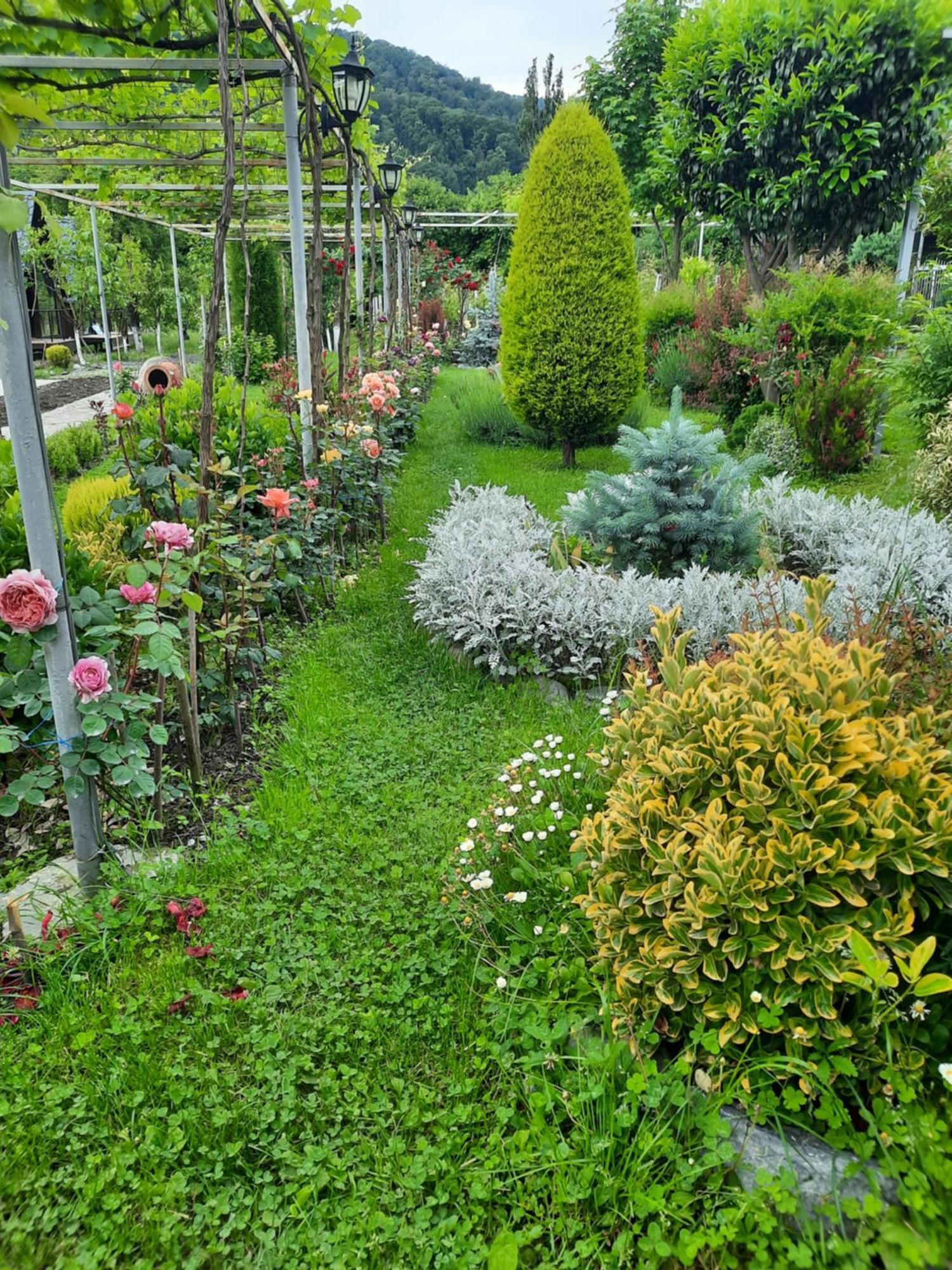 Guest House Gardenia & Wine Cellar ラゴデヒ エクステリア 写真
