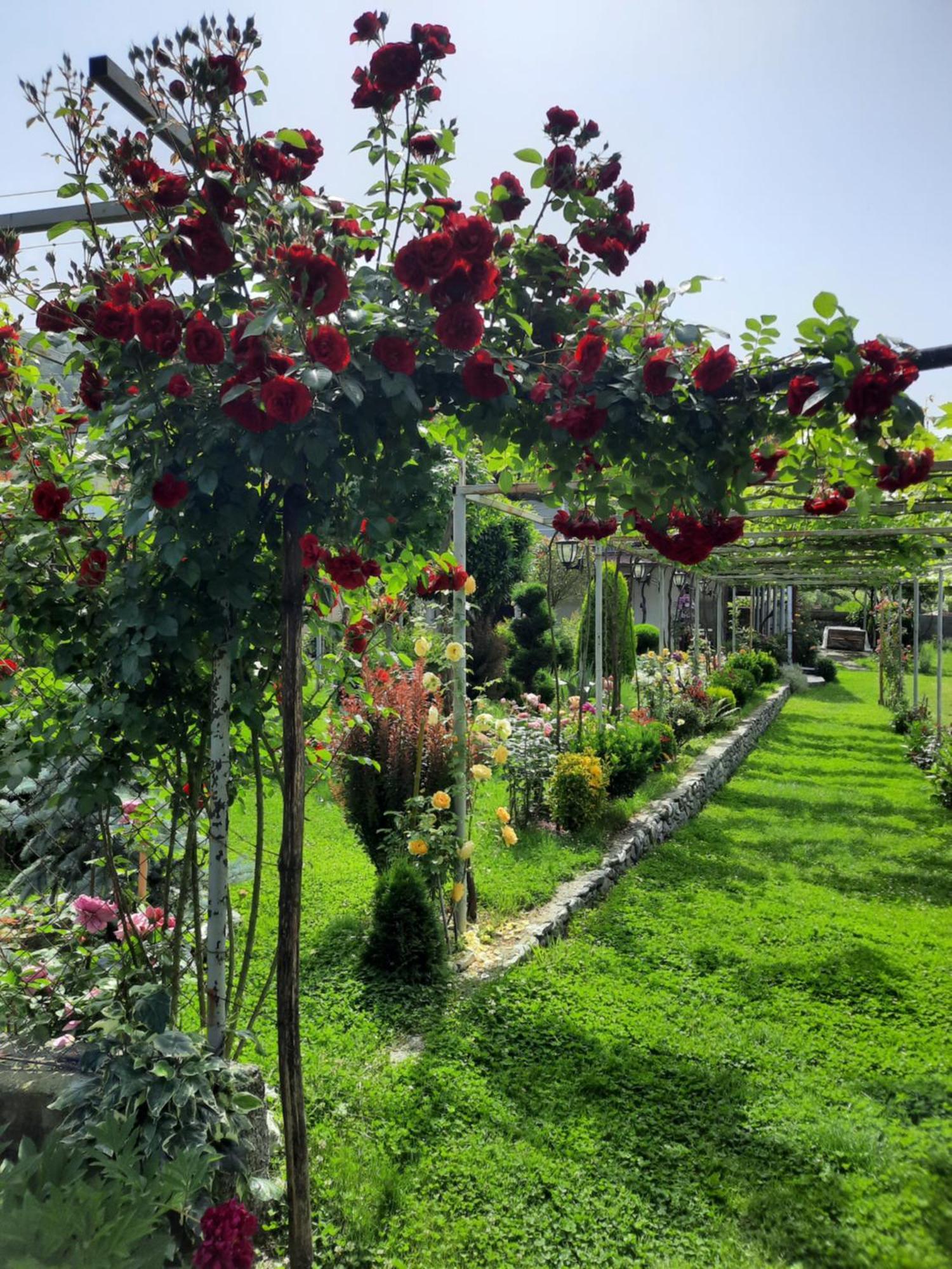 Guest House Gardenia & Wine Cellar ラゴデヒ エクステリア 写真