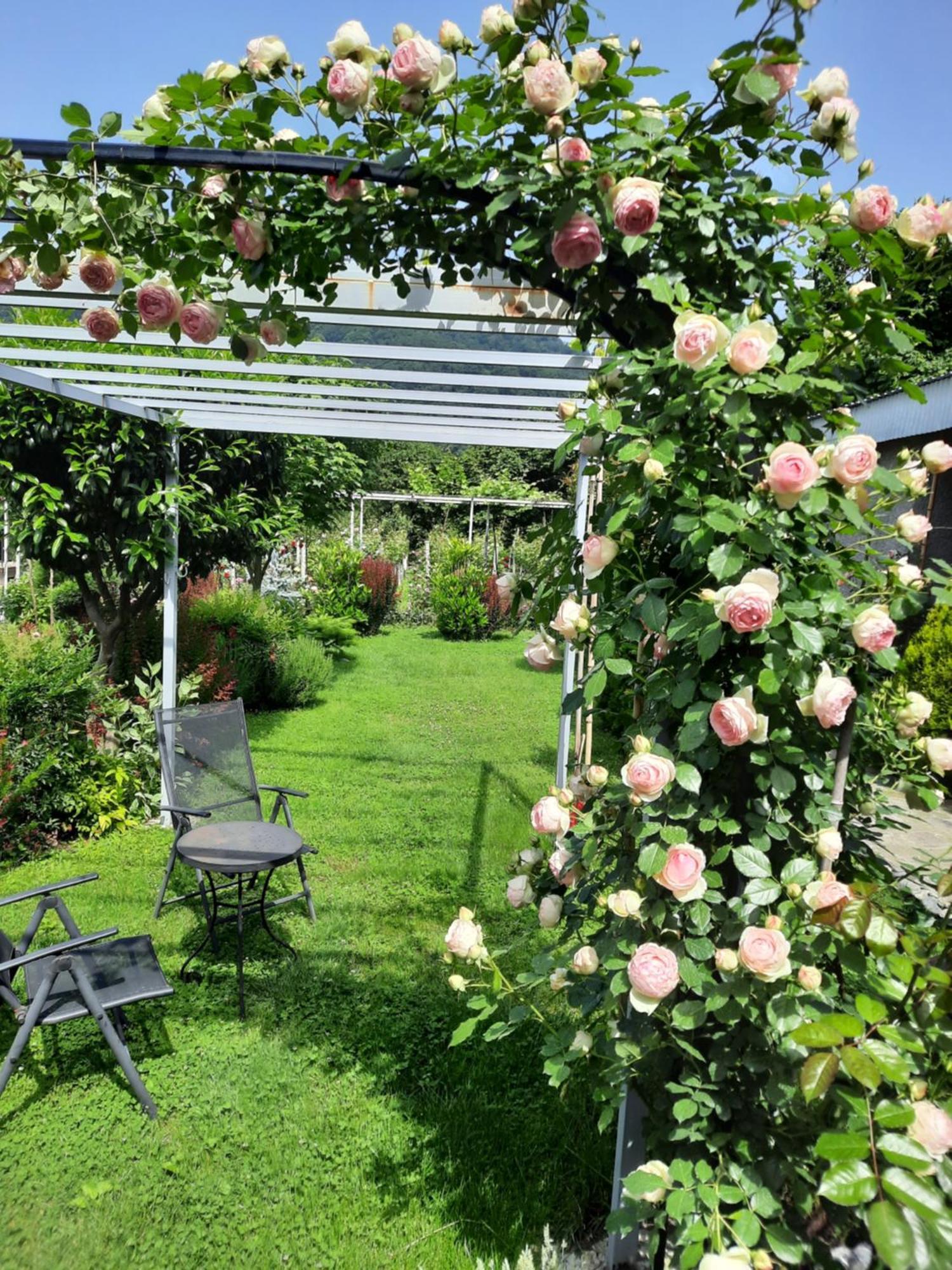 Guest House Gardenia & Wine Cellar ラゴデヒ エクステリア 写真