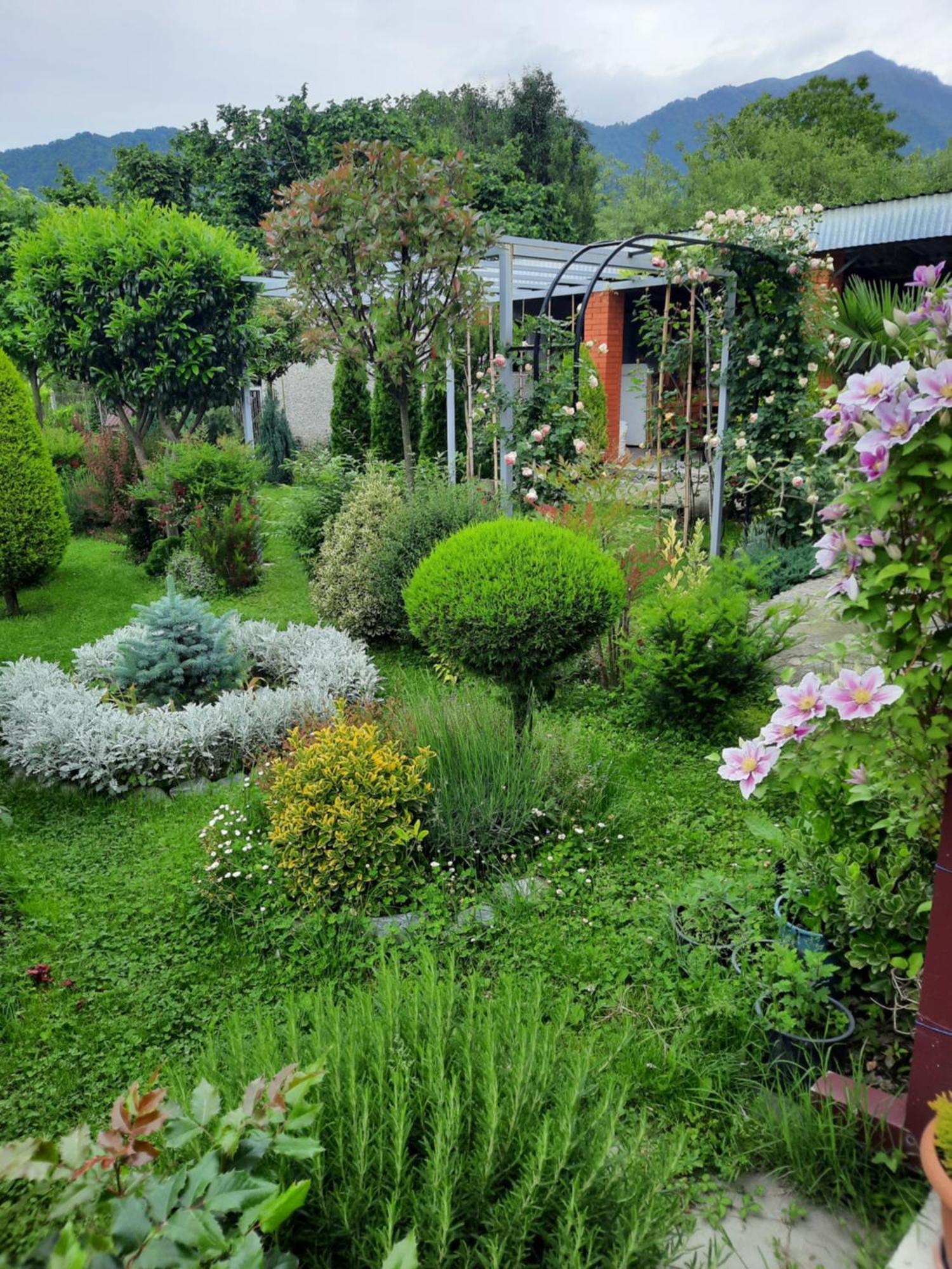 Guest House Gardenia & Wine Cellar ラゴデヒ エクステリア 写真