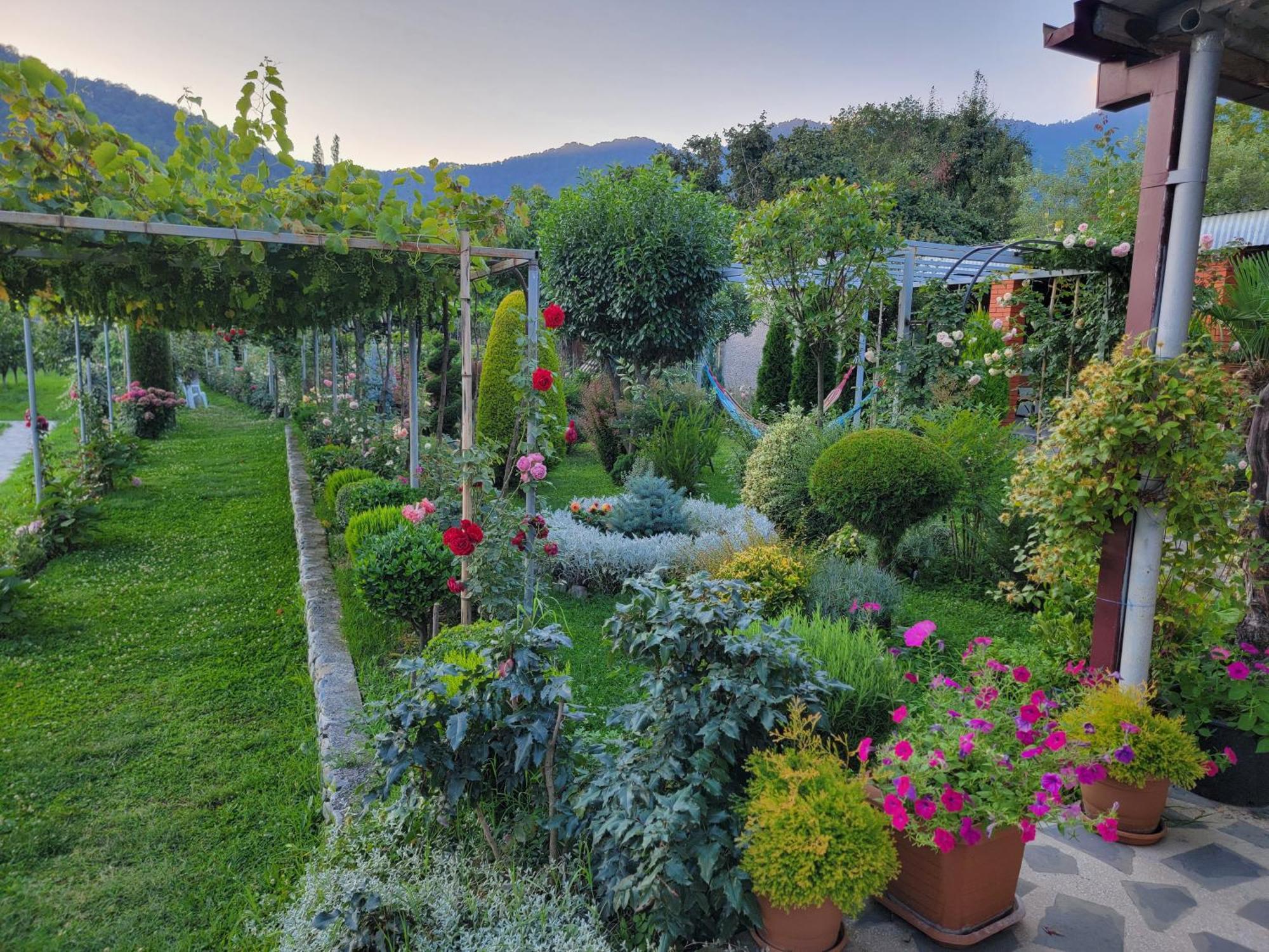 Guest House Gardenia & Wine Cellar ラゴデヒ エクステリア 写真