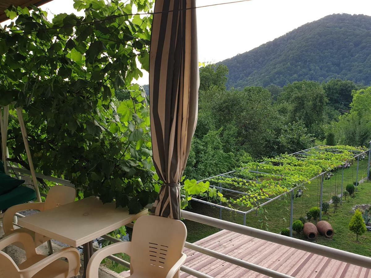 Guest House Gardenia & Wine Cellar ラゴデヒ エクステリア 写真