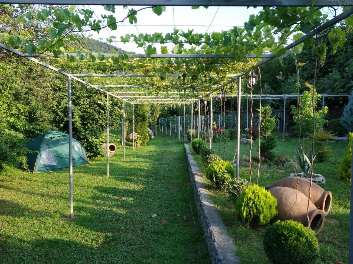 Guest House Gardenia & Wine Cellar ラゴデヒ エクステリア 写真